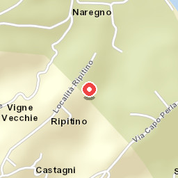 Suosogno sul mare