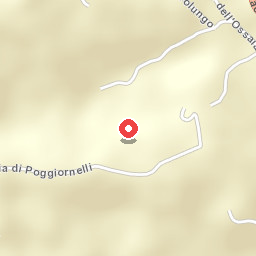 Michelangelo