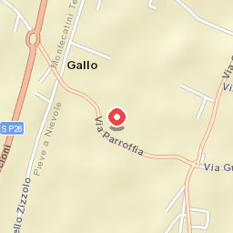 Il Cipresso del Gallo