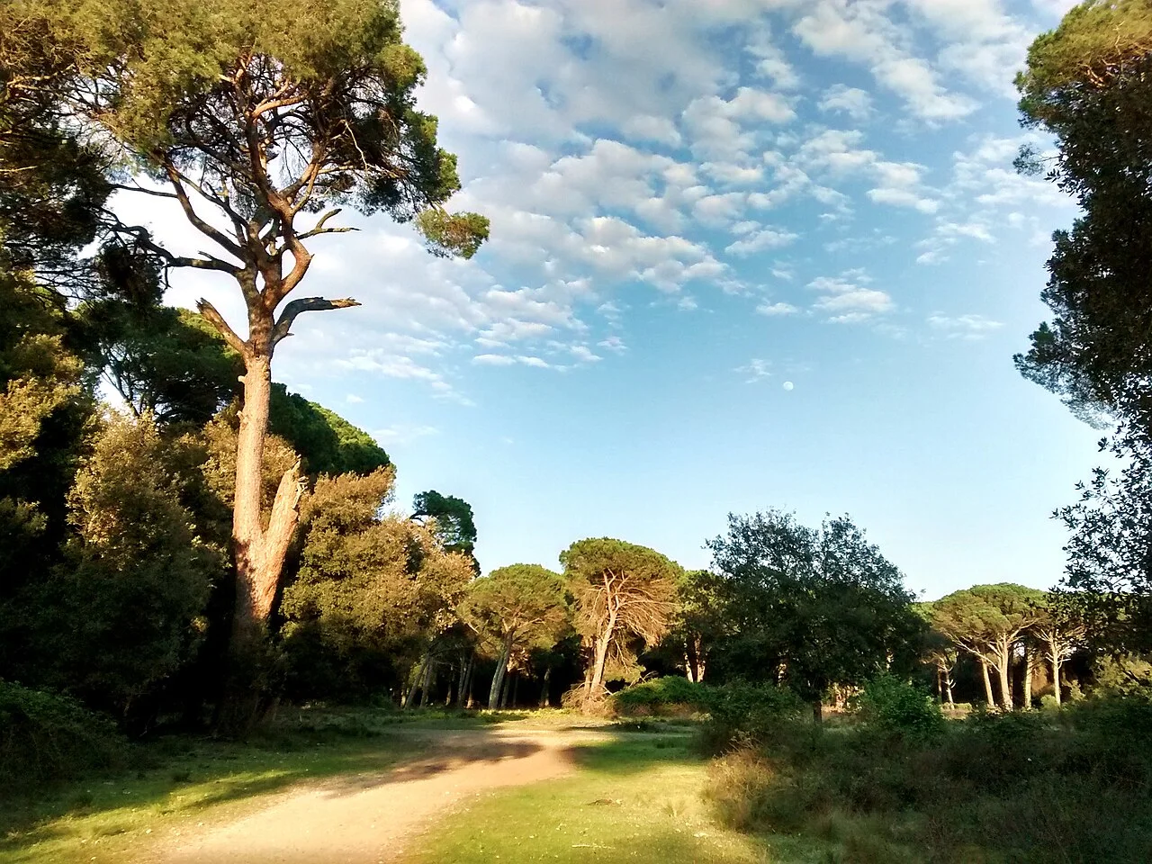 Parco Naturale / Giardino