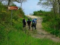 FESTIVAL EUROPEO DELLA VIA FRANCIGENA