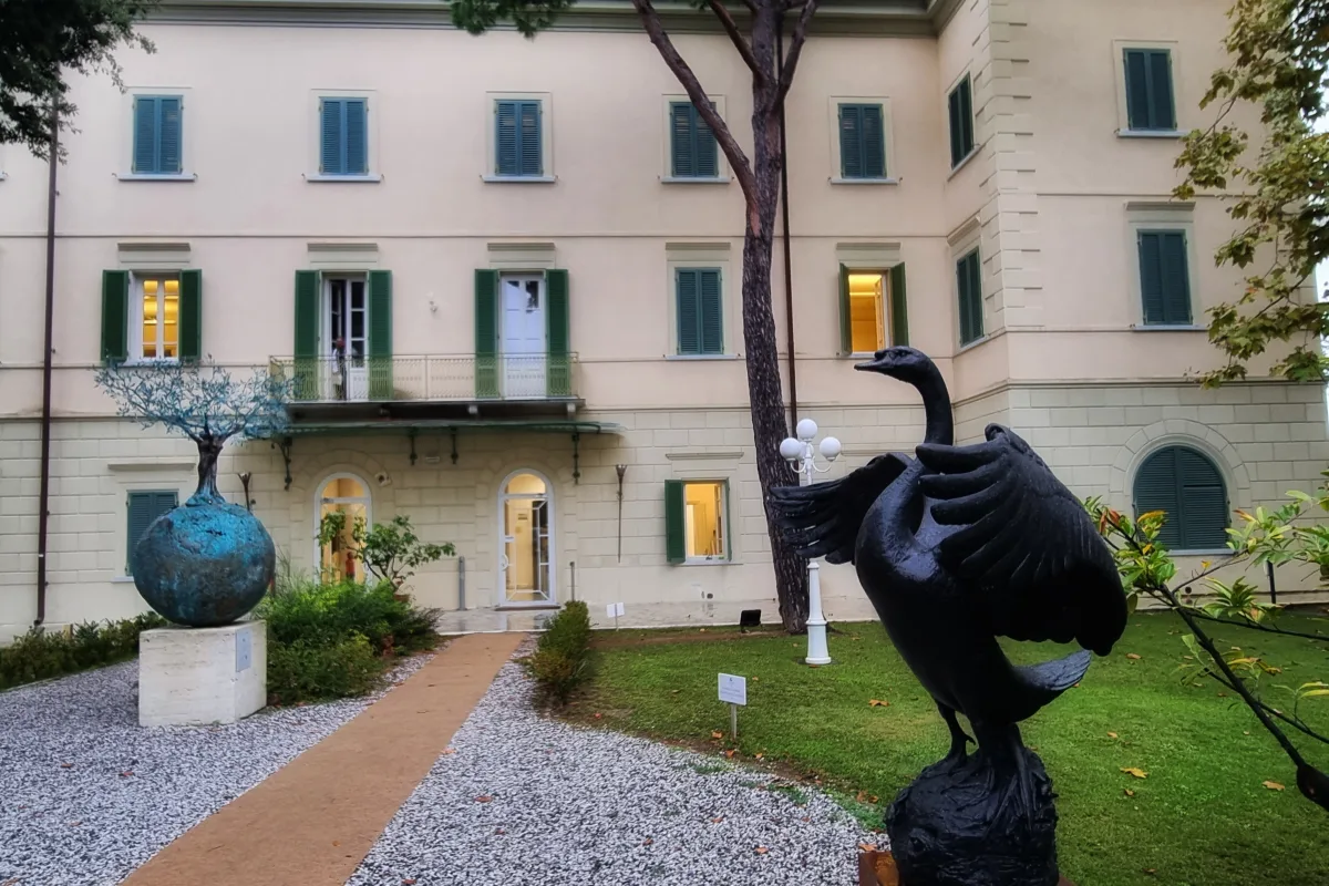 Anteprima Video