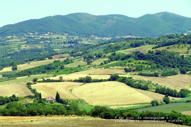 Pisa campagna-natura-pisa.webp