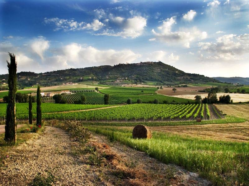 Colle di Val d'Elsa 4