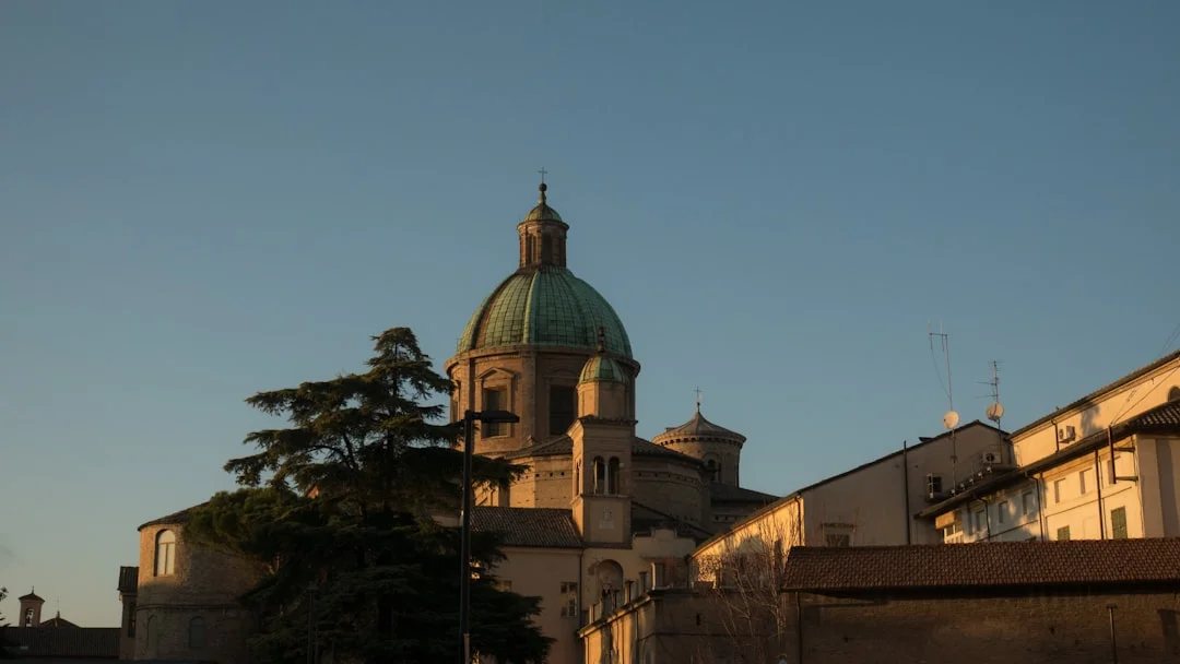 Museo della Vite e del Vino (Montalcino)