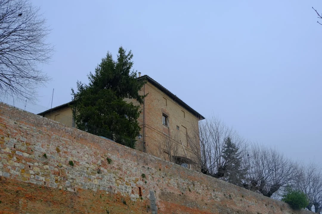 Montepulciano - Montepulciano 3